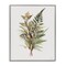 Stupell Industries Butterfly Grove Forest Ferns Framed Giclee, design by House Fenway